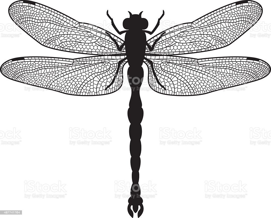 Стрекоза вектор контур