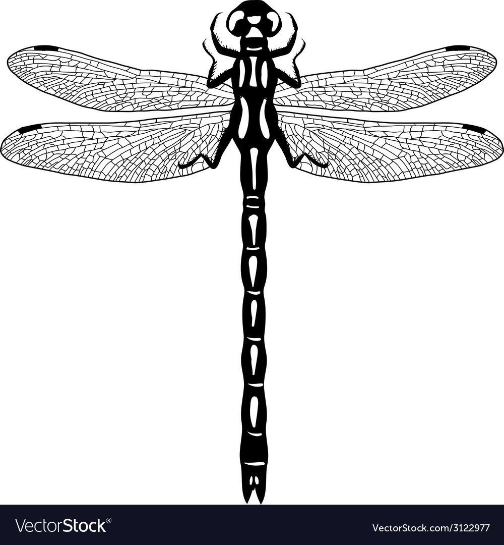Стрекоза в юбке вектор Советский