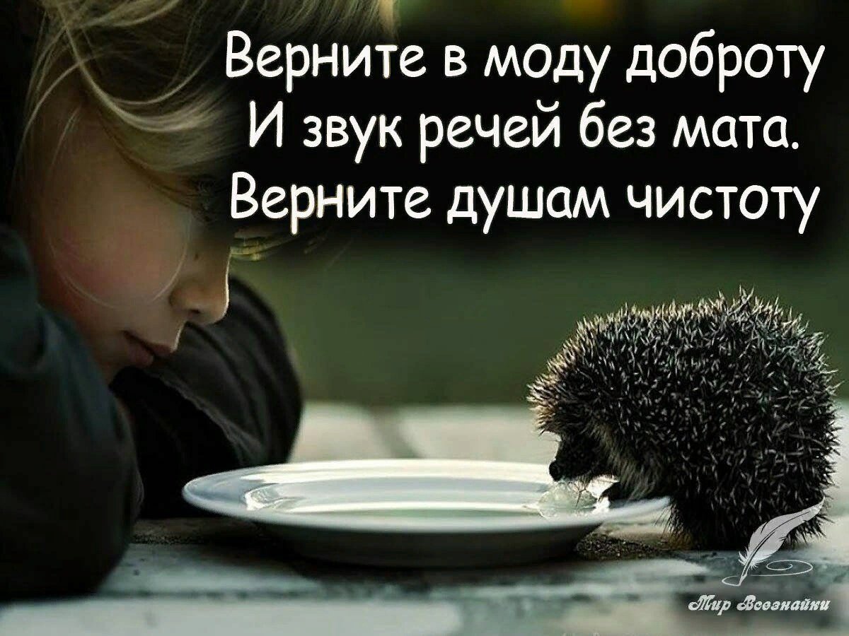 Высказывания о доброте