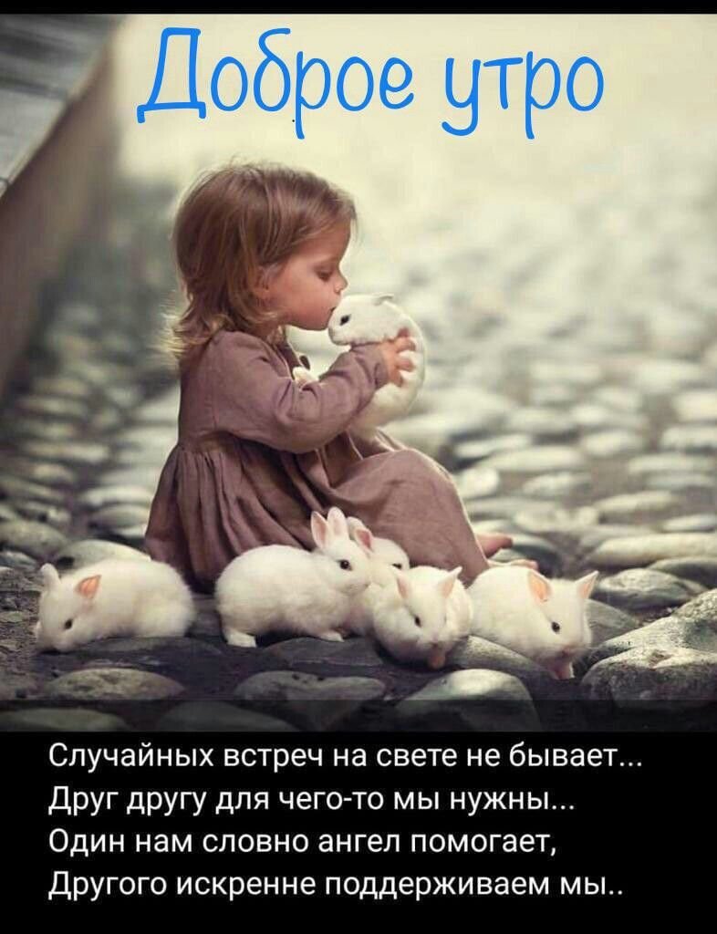 Для детей. Животные