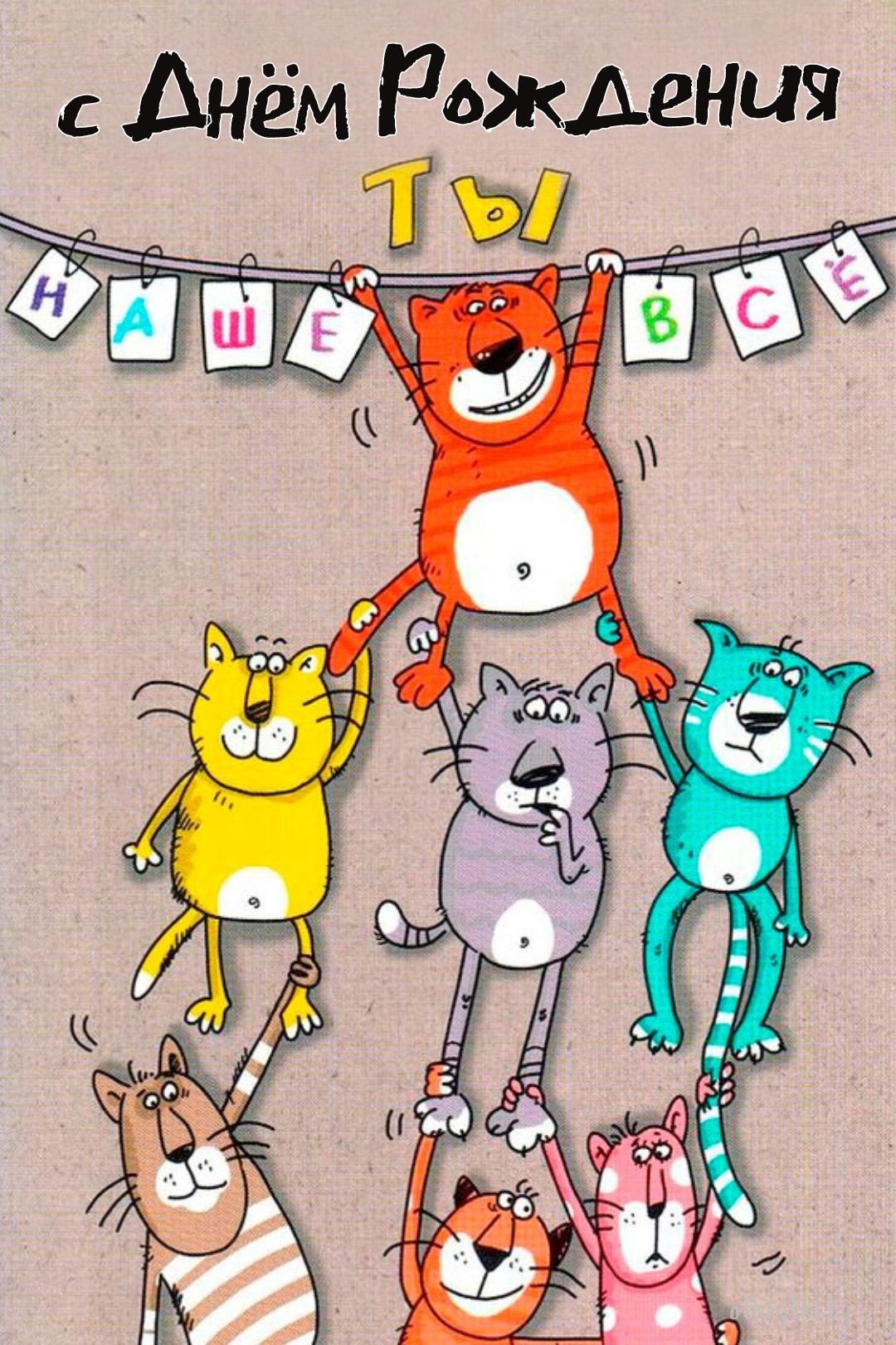 Открытки с днём рождения с котиками