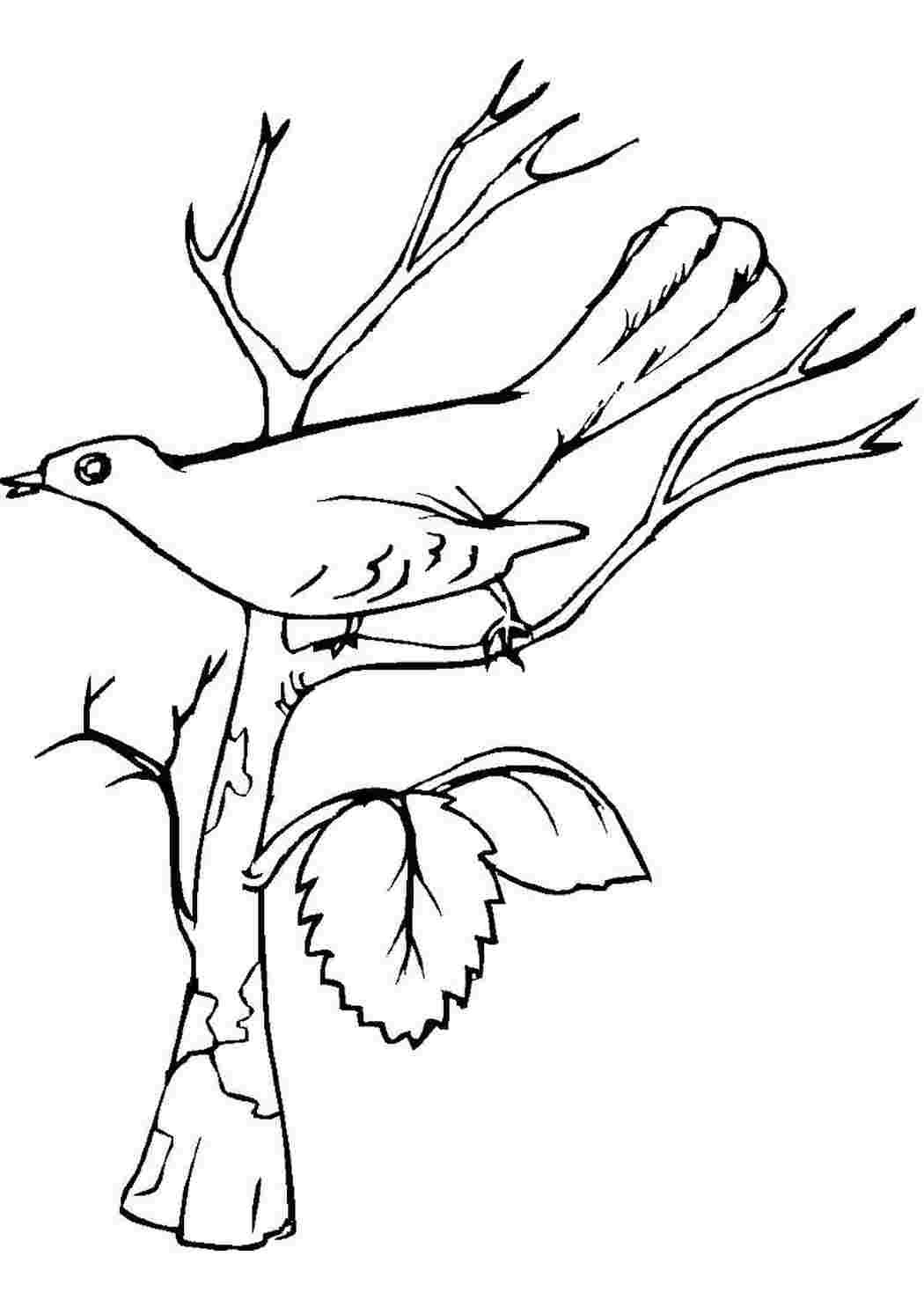 Символ соловья