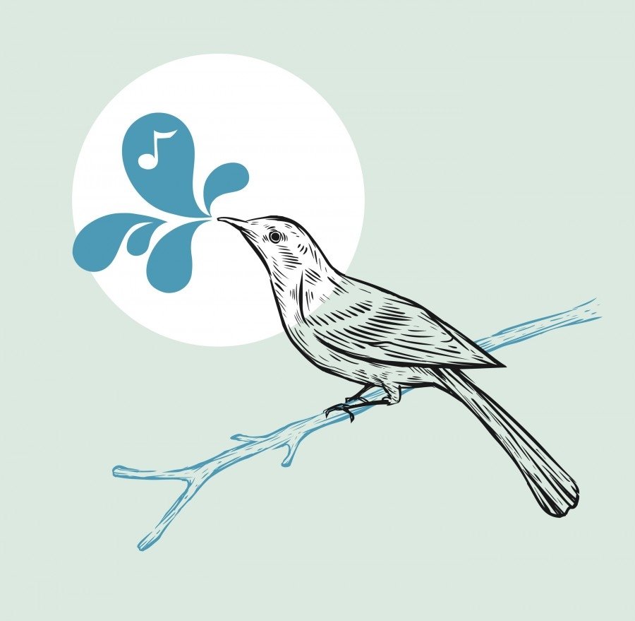 Зимующие птицы раскраски для дошкольников