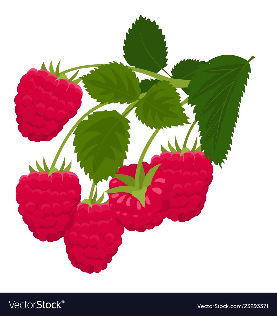 Девочка с малиной рисунок