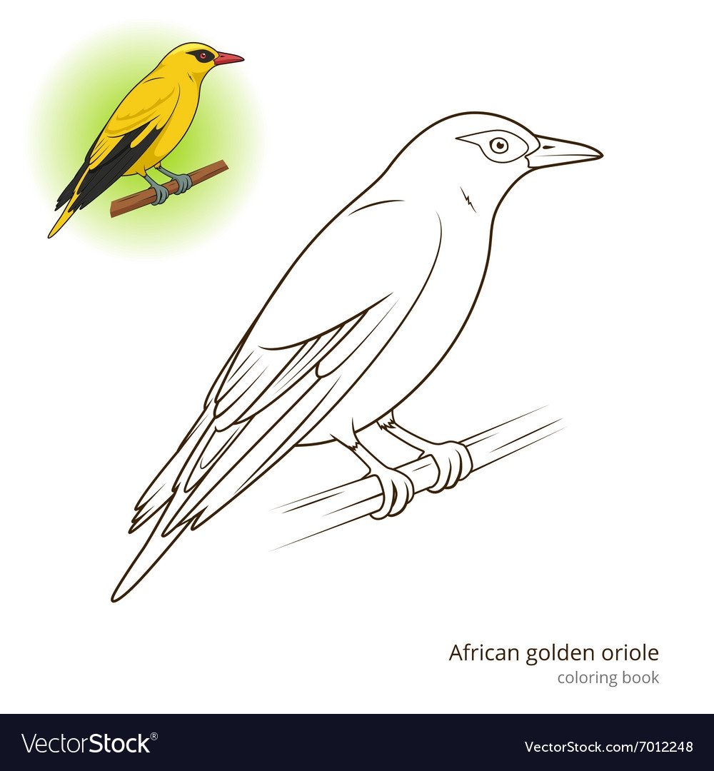 Соловей птица раскраска для детей