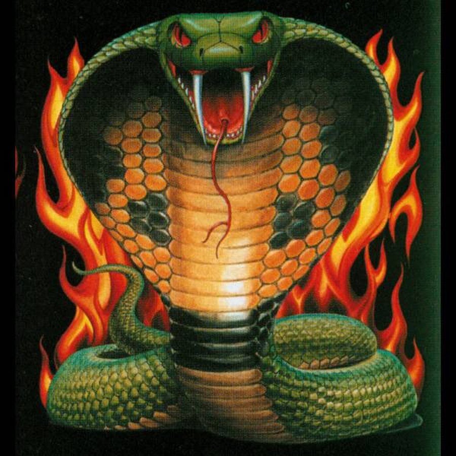 Огненная Королевская Кобра