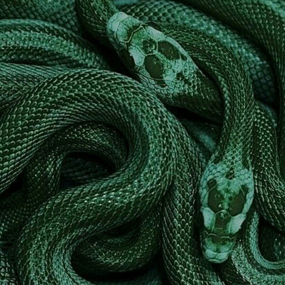 Слизерин змея Нагайна