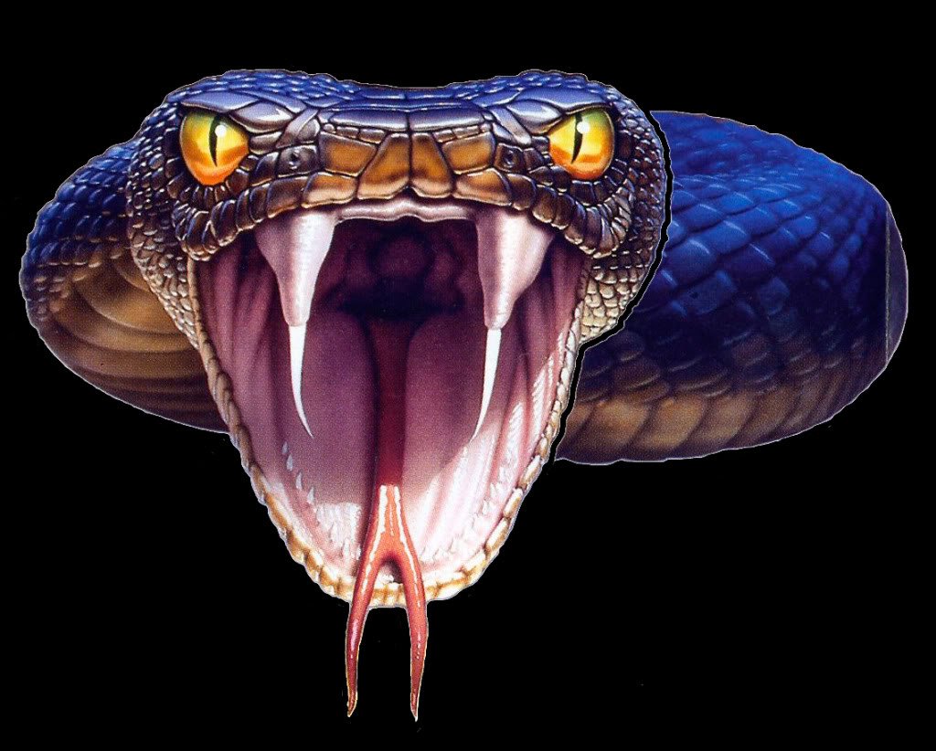 Кобра черная мамба