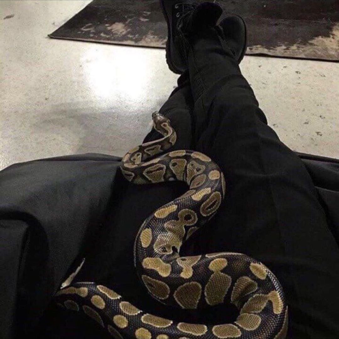 Змея на руке