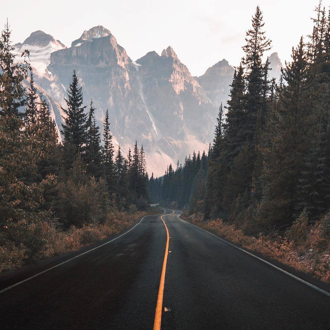 Лес с дорогой вид сверху