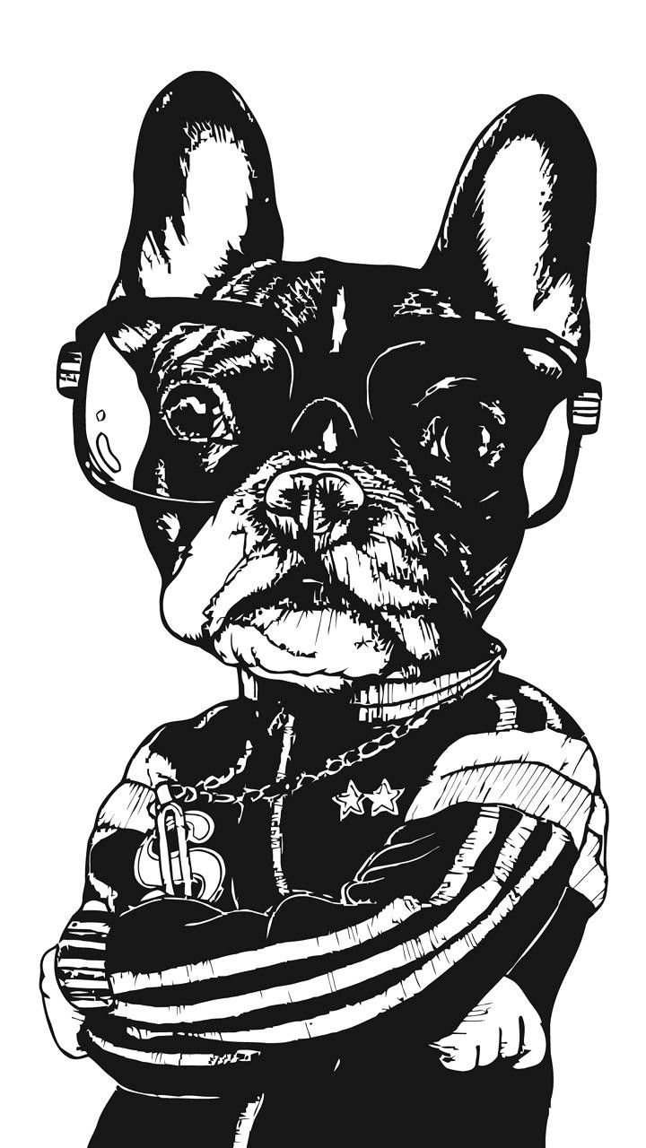 Французский бульдог