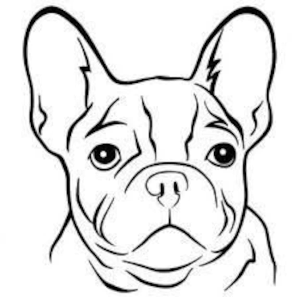 Рисунки карандашом животные