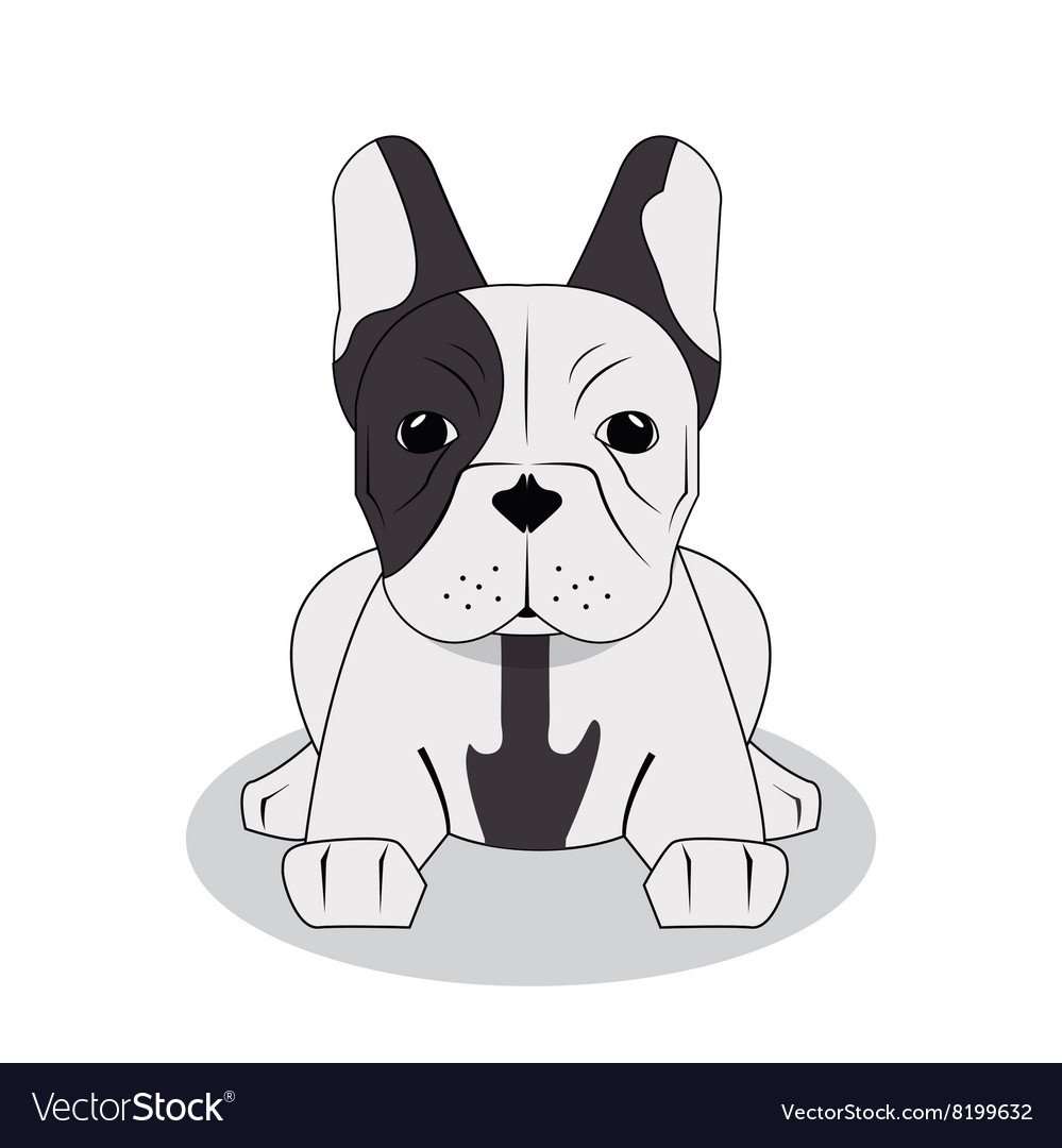 Разукрашки французский бульдог