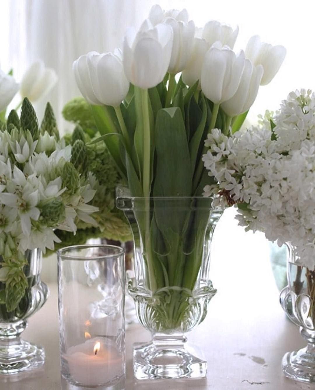 Букет белых тюльпанов в вазе на прозрачном фоне