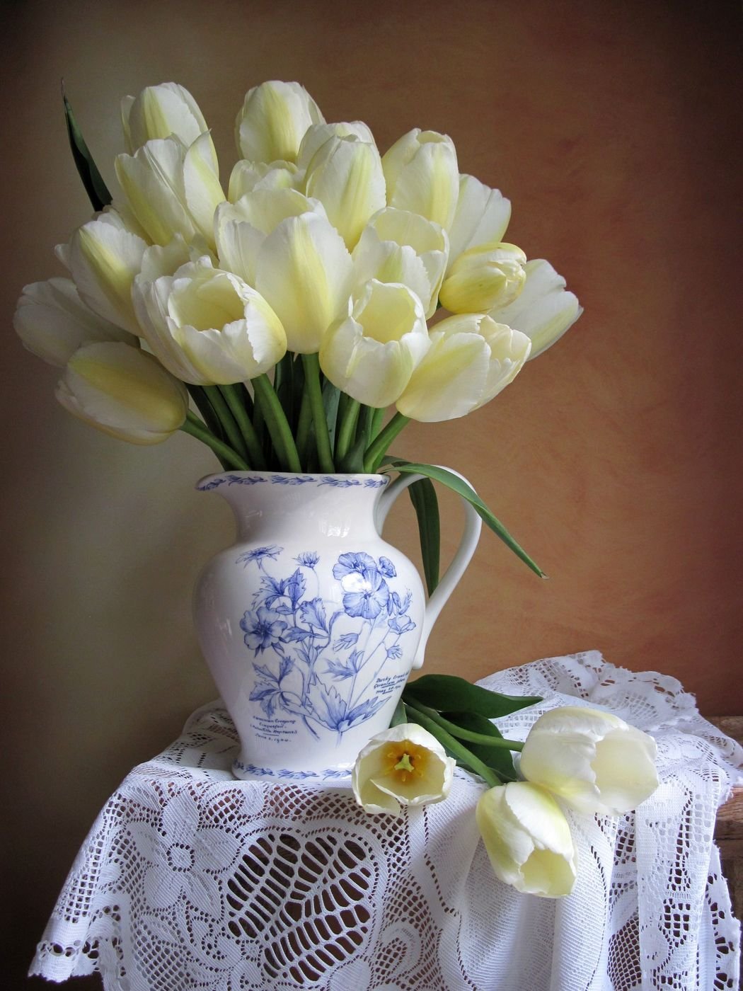 Питер Вагеманс тюльпаны