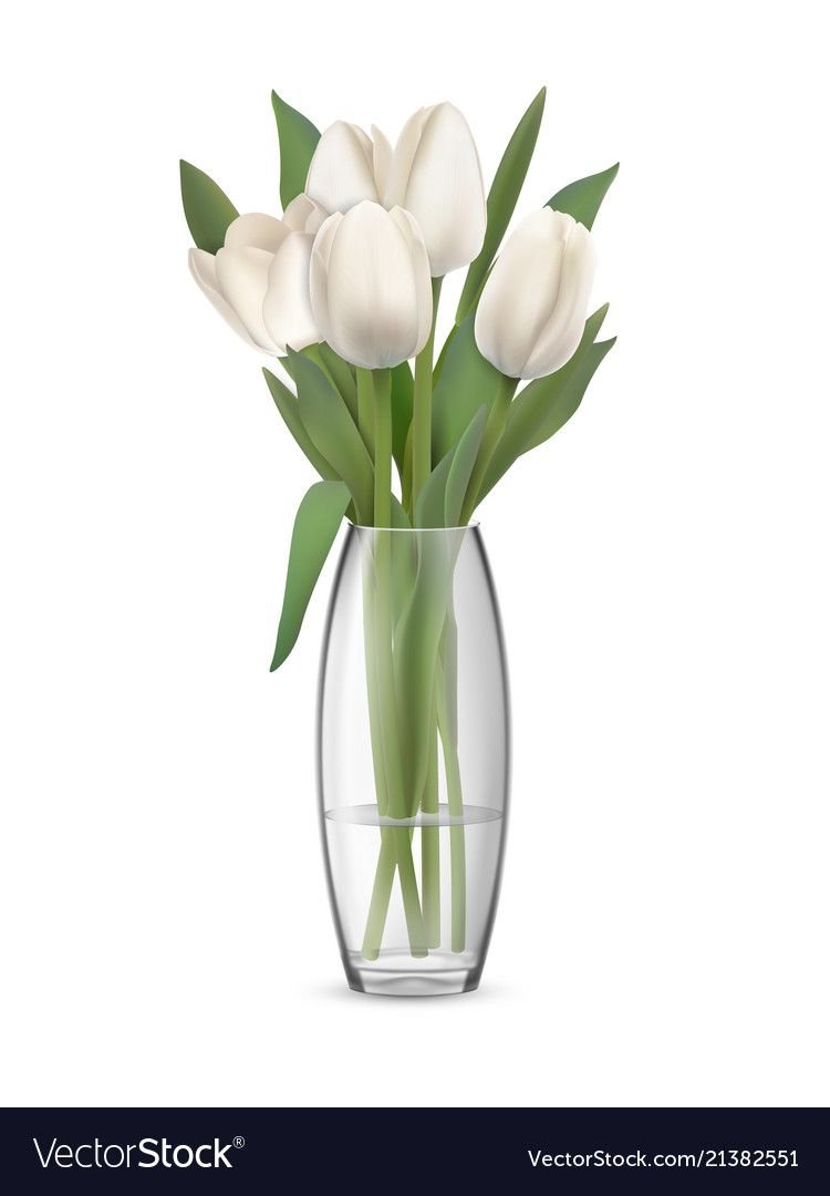 Белые тюльпаны букет
