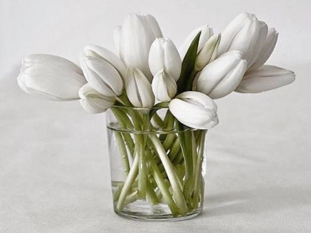 Тюльпаны картины Pieter Wagemans