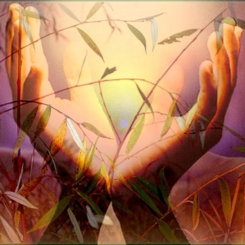 Свет души живопись