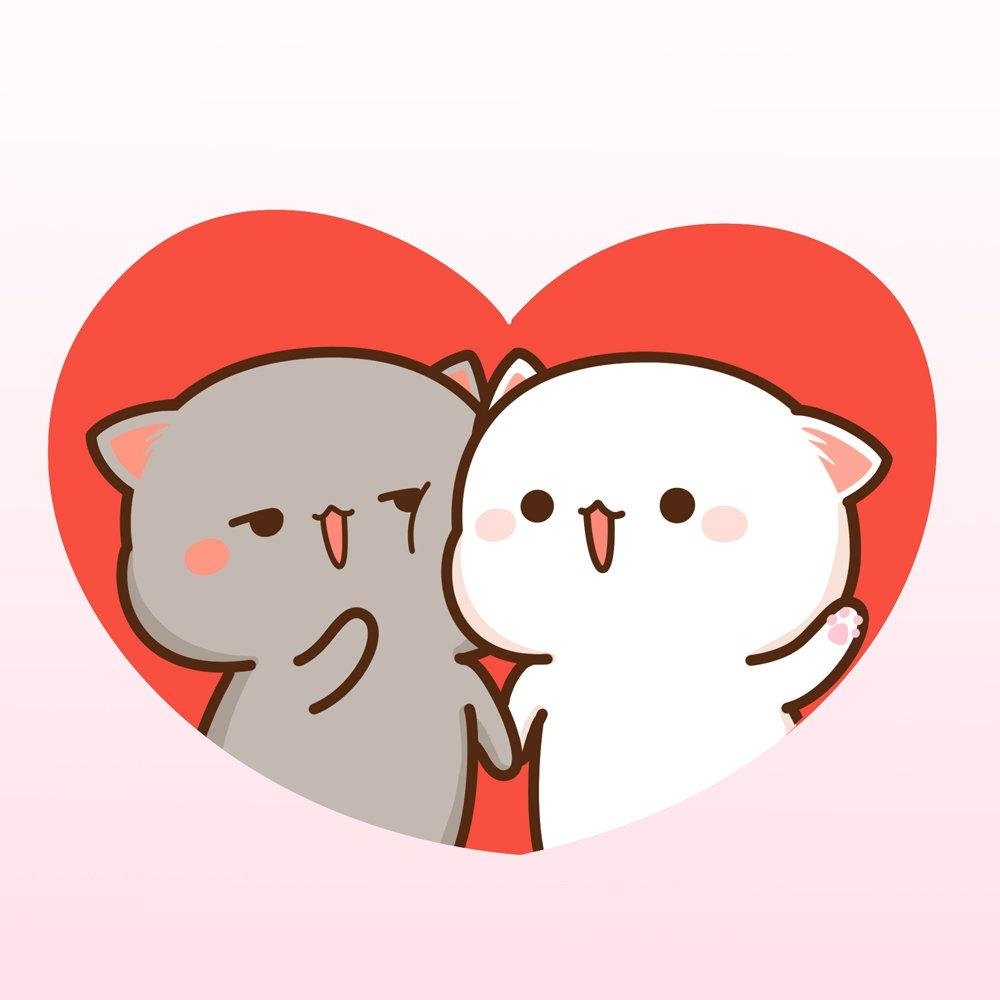 Кавайные котики парочка
