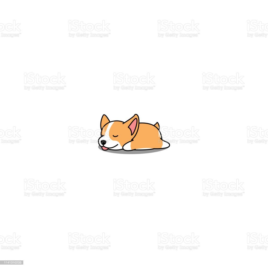 Корги Минимализм