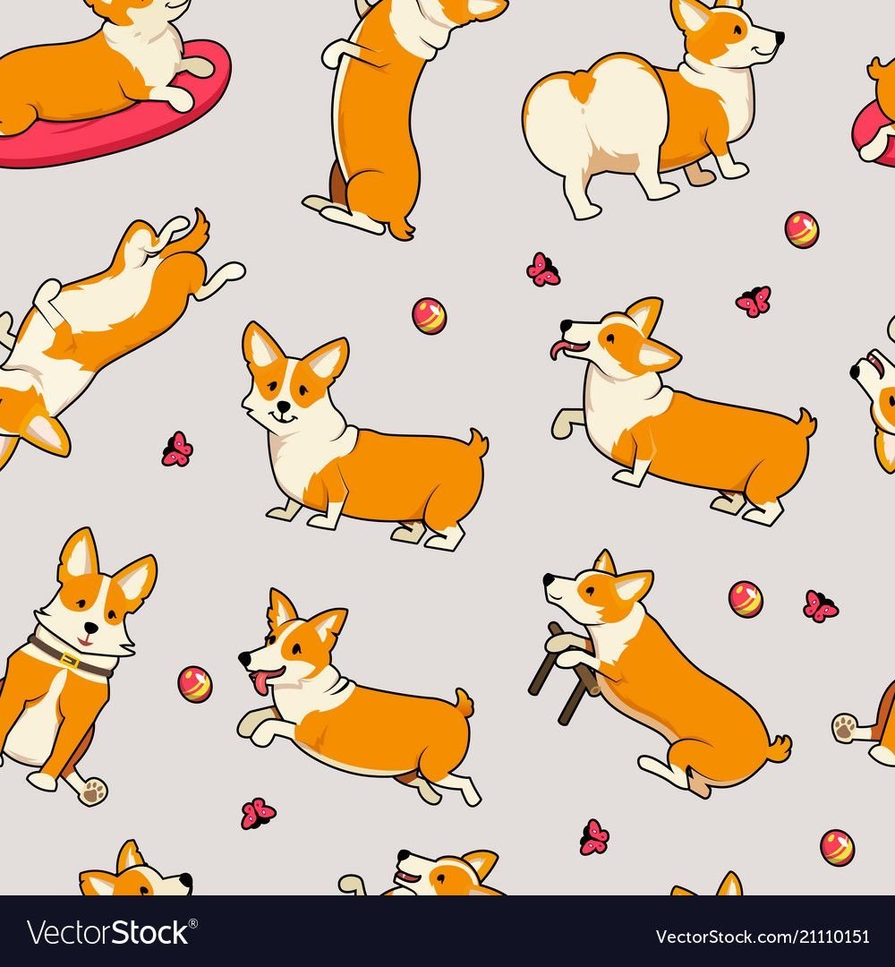 Корги паттерн вектор