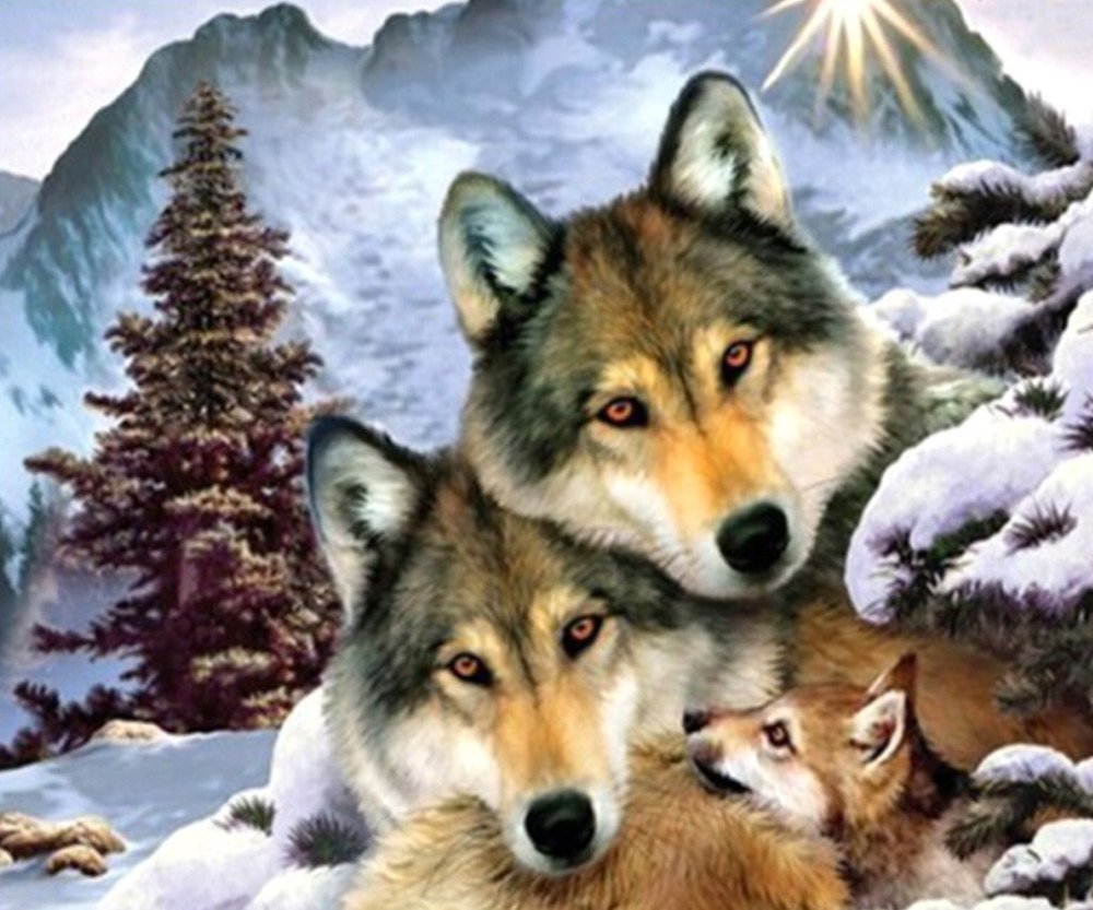 Алмазная мозаика 30х40 волки