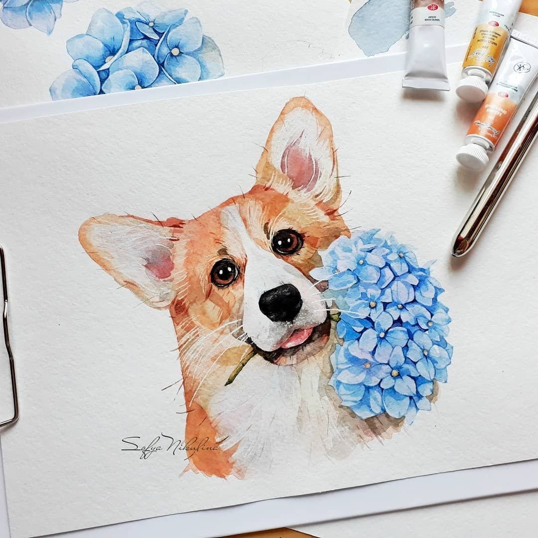 Корги скетч маркерами