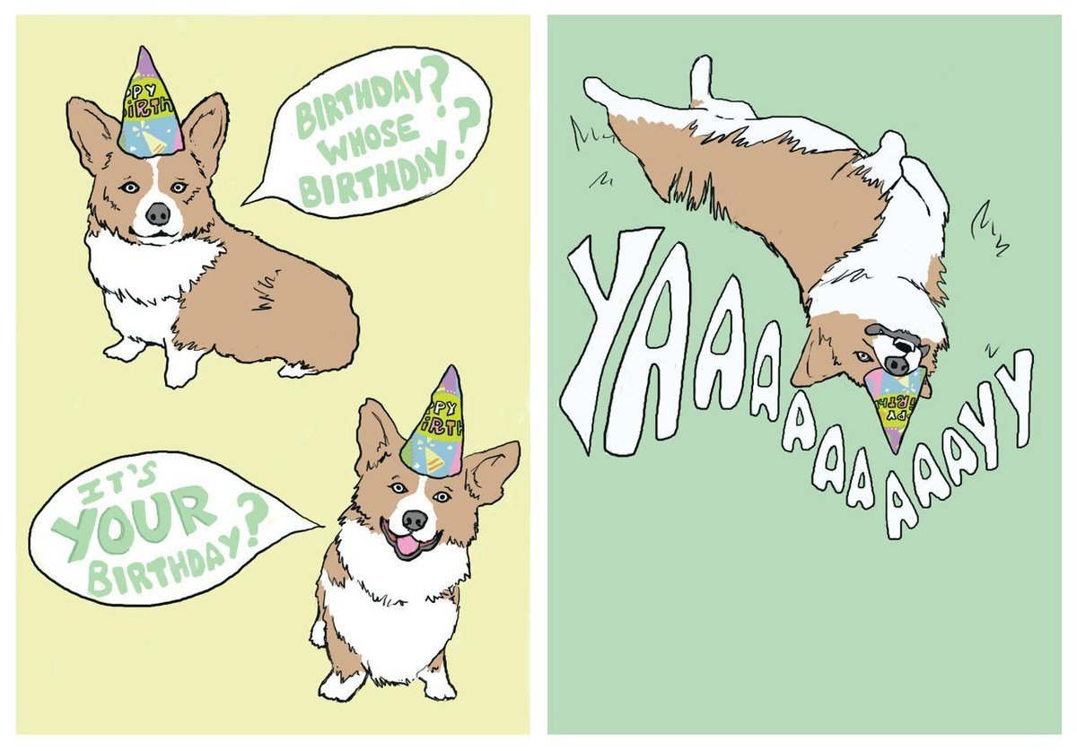 Корги с днем рождения