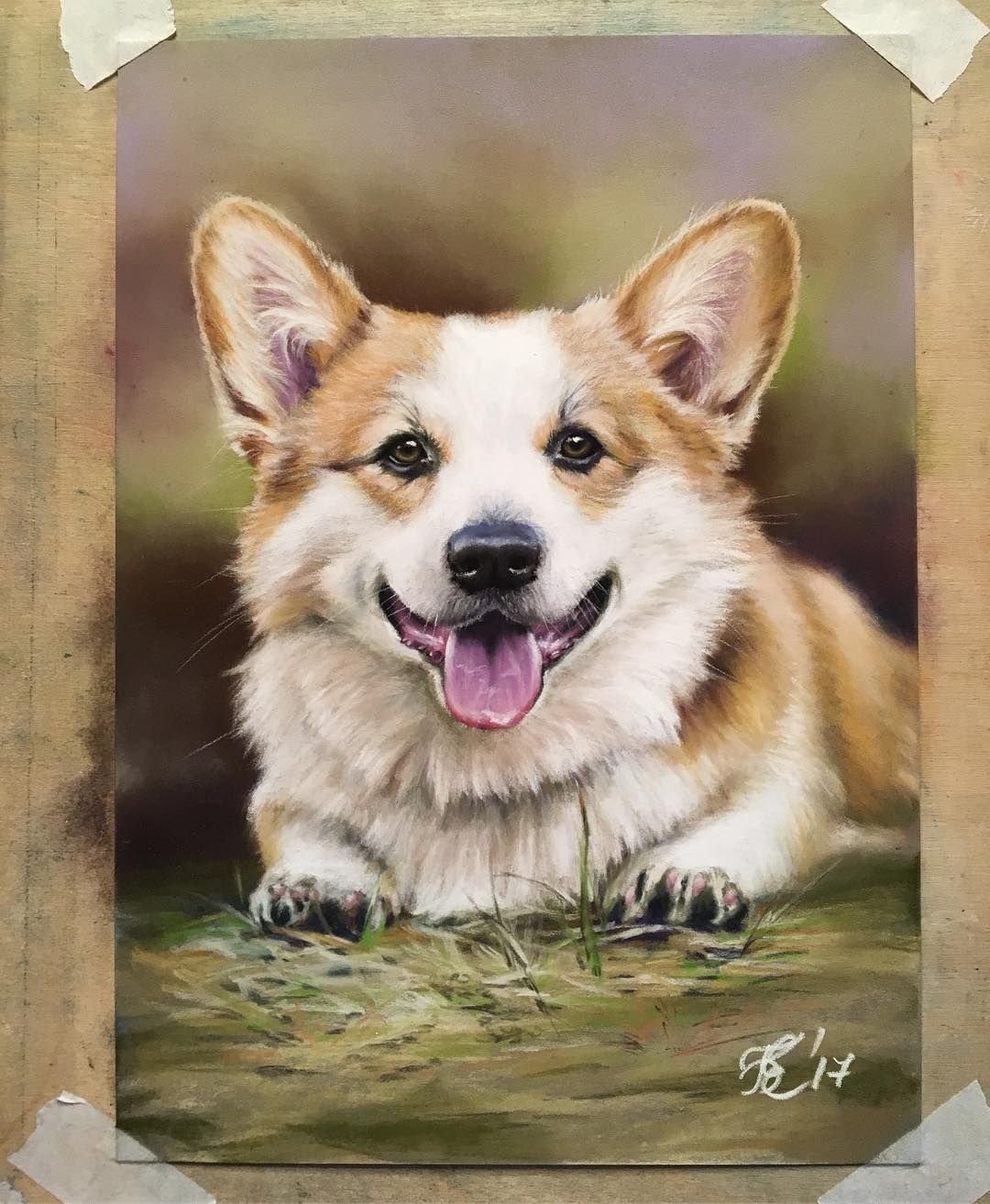 Корги портрет