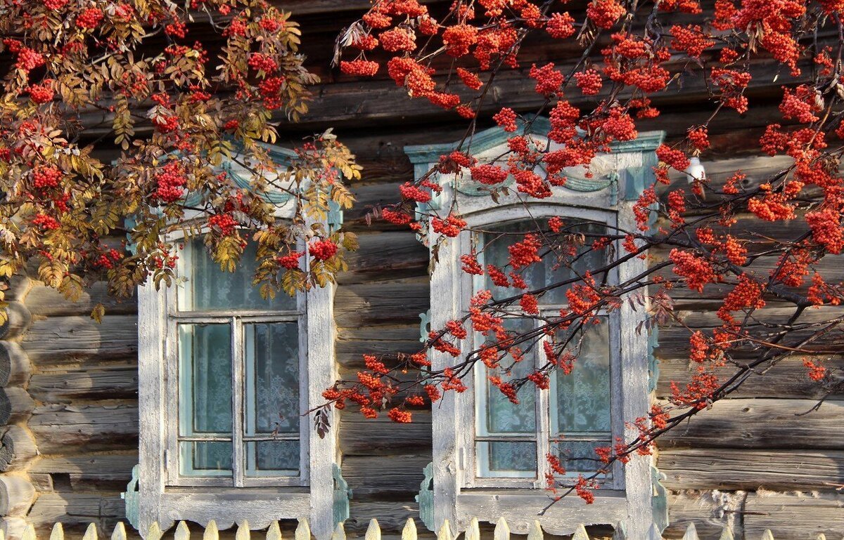 Шторы на окна