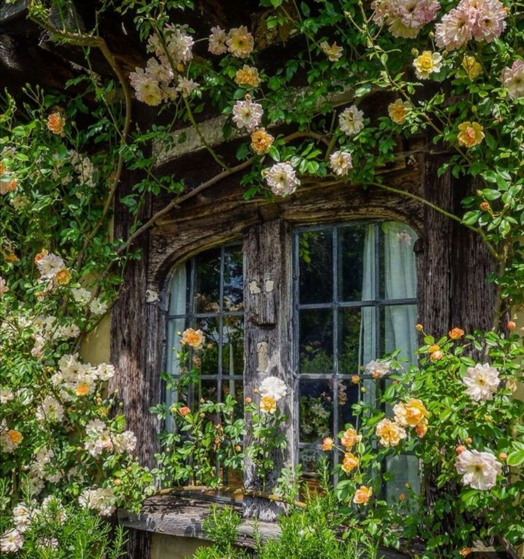 Старинные занавески на окна