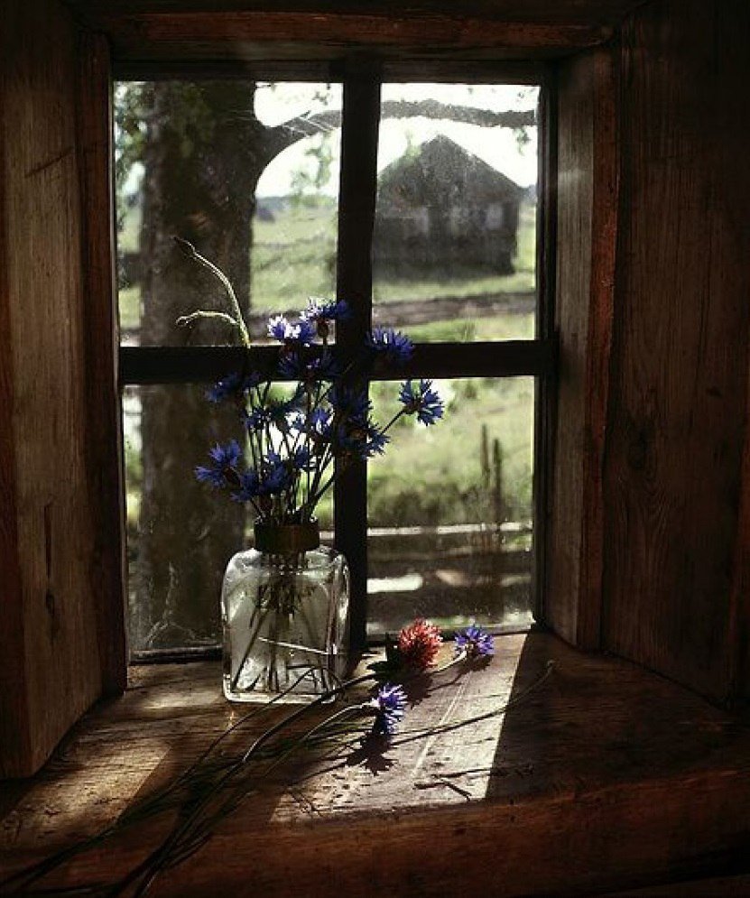 Анатолий Заболоцкий фотоработы