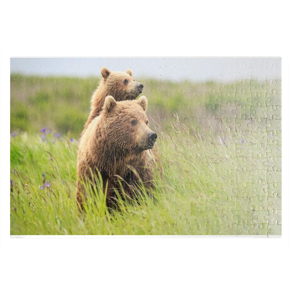 ЛОВУШКА на медведя