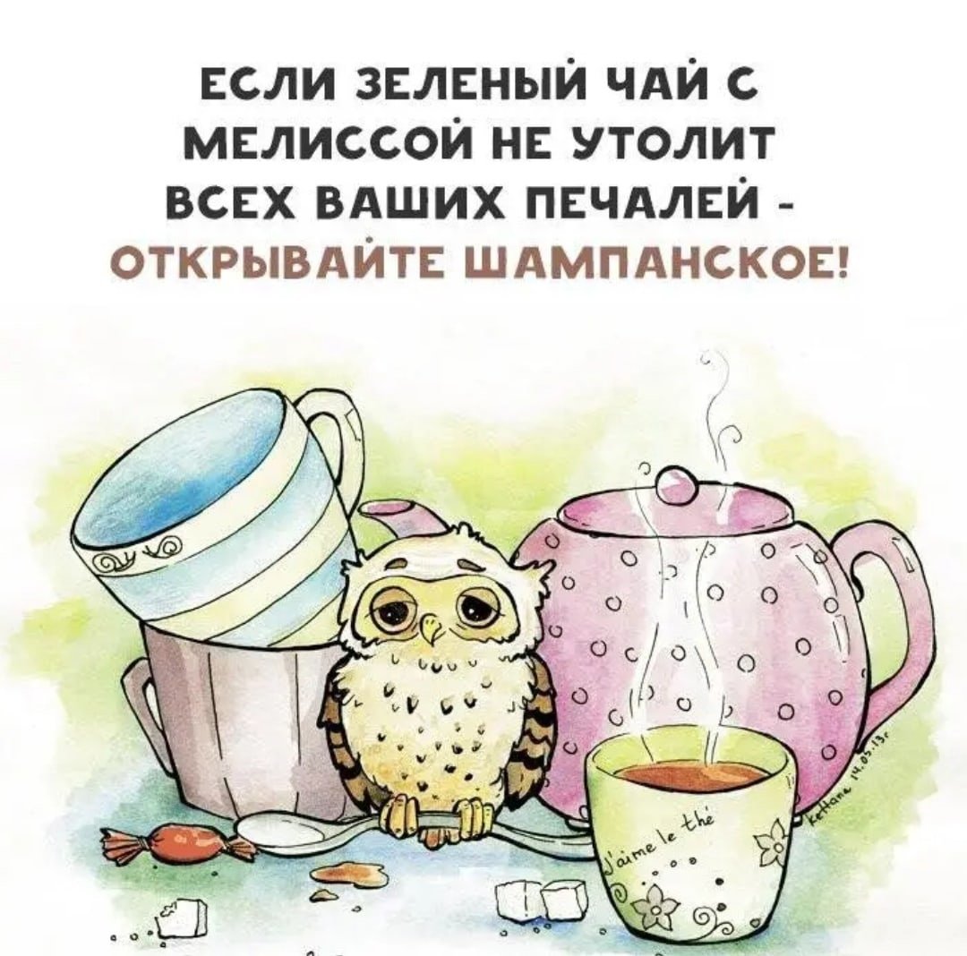 Шутка совет на день