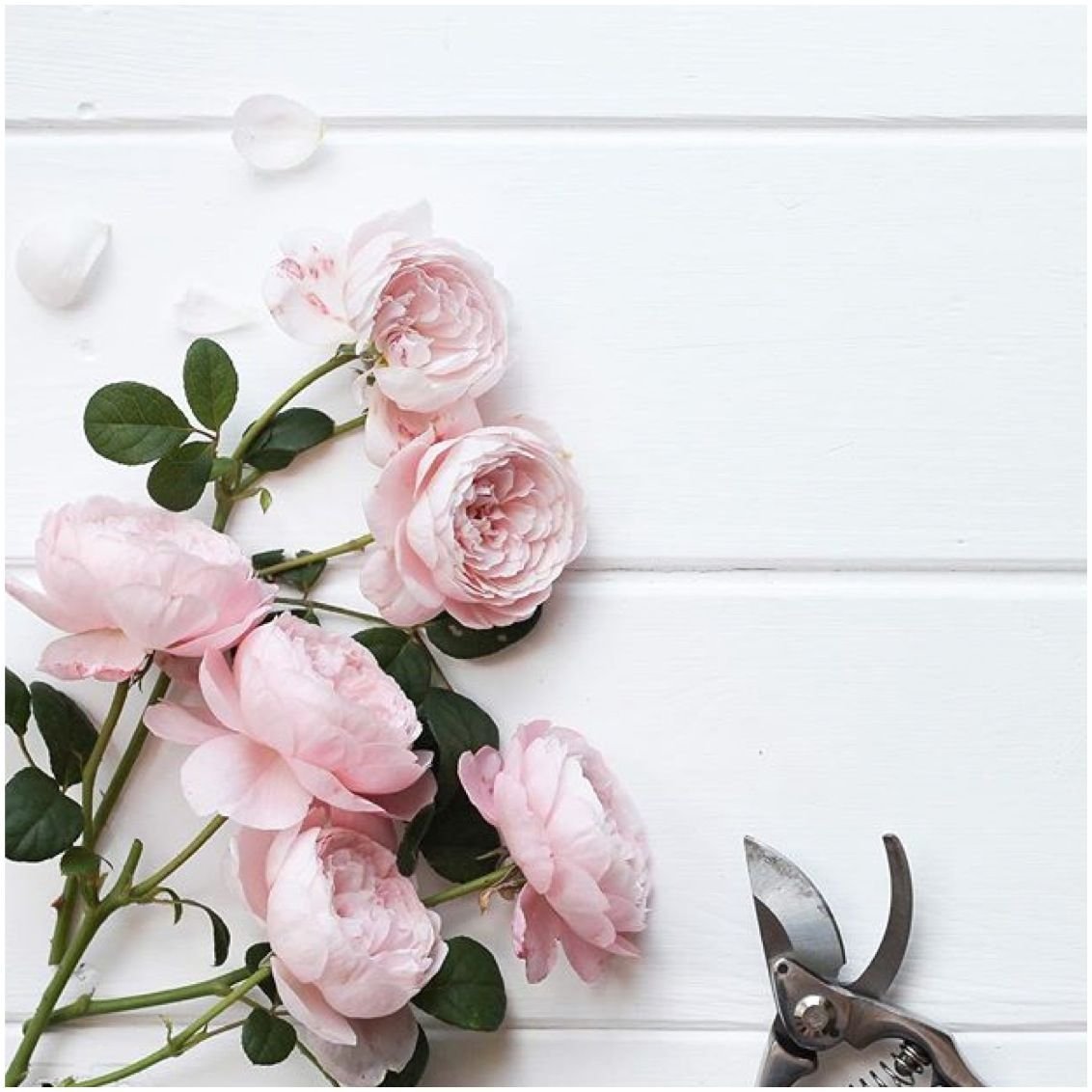 Красивый фон для поста в Инстаграм