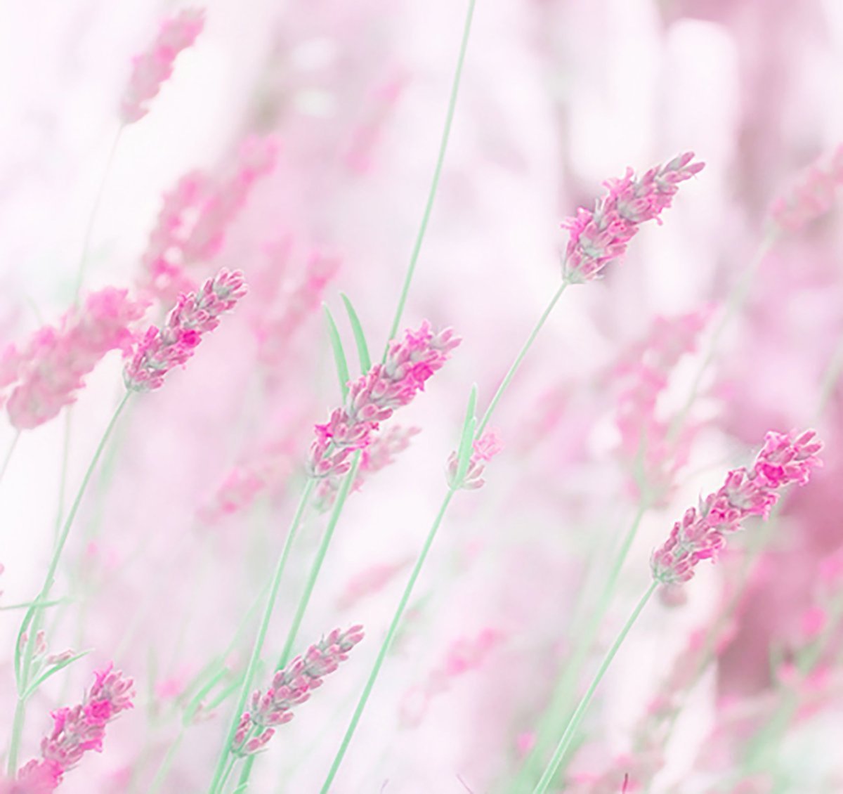 Пастельный фон