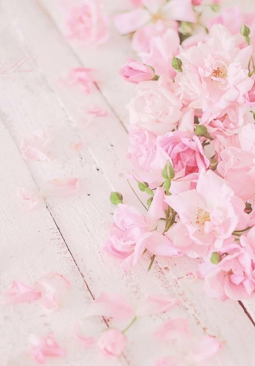 Нежные розовые цветы