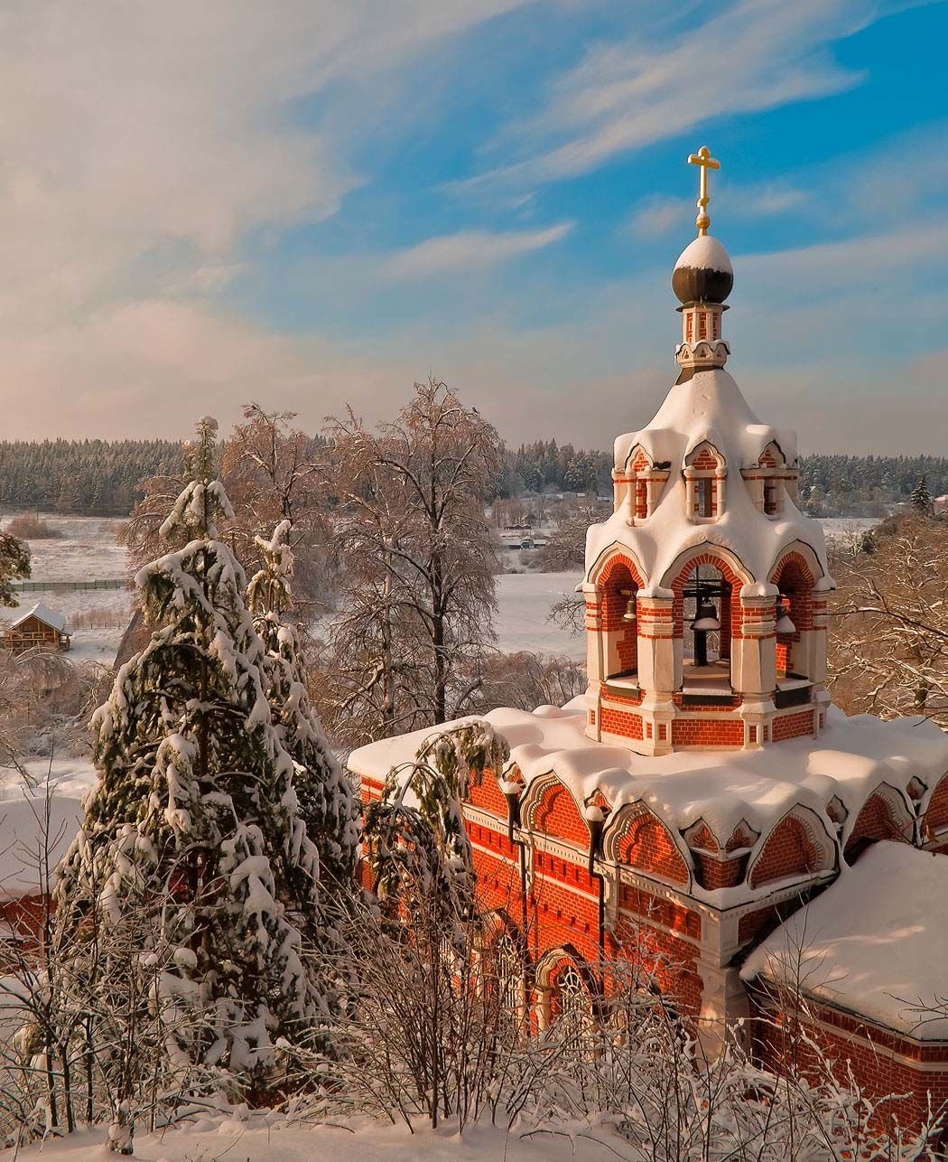 Звенигородский монастырь Саввы Сторожевского зимой деревяный купол