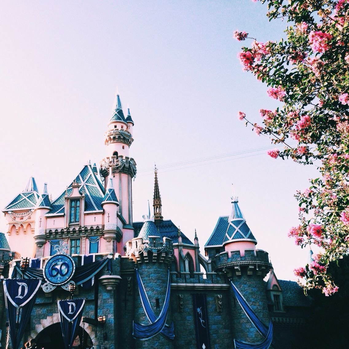 Диснейленд Эстетика Пинтерест