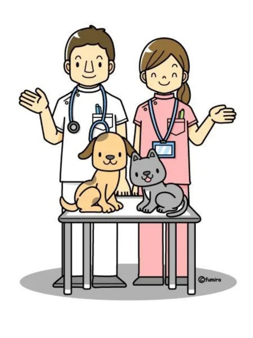 Ветеринар вектор