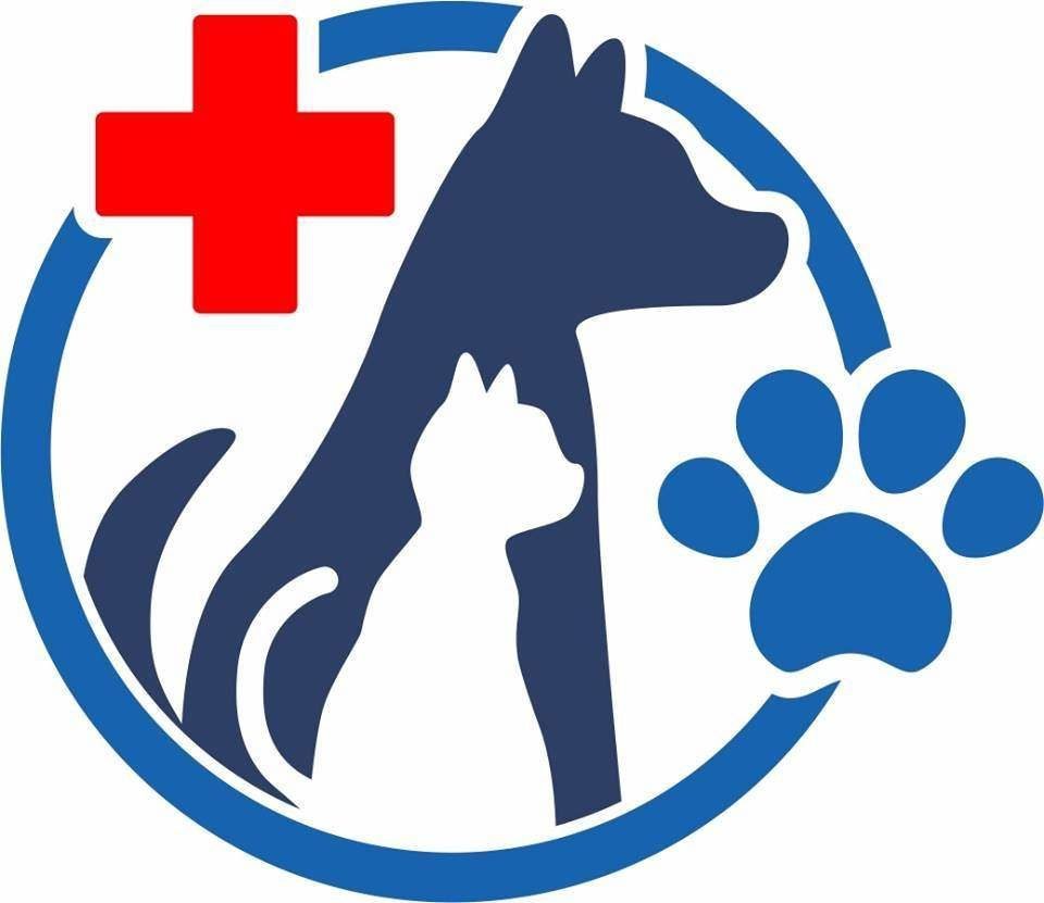 Ветеринар иллюстрация