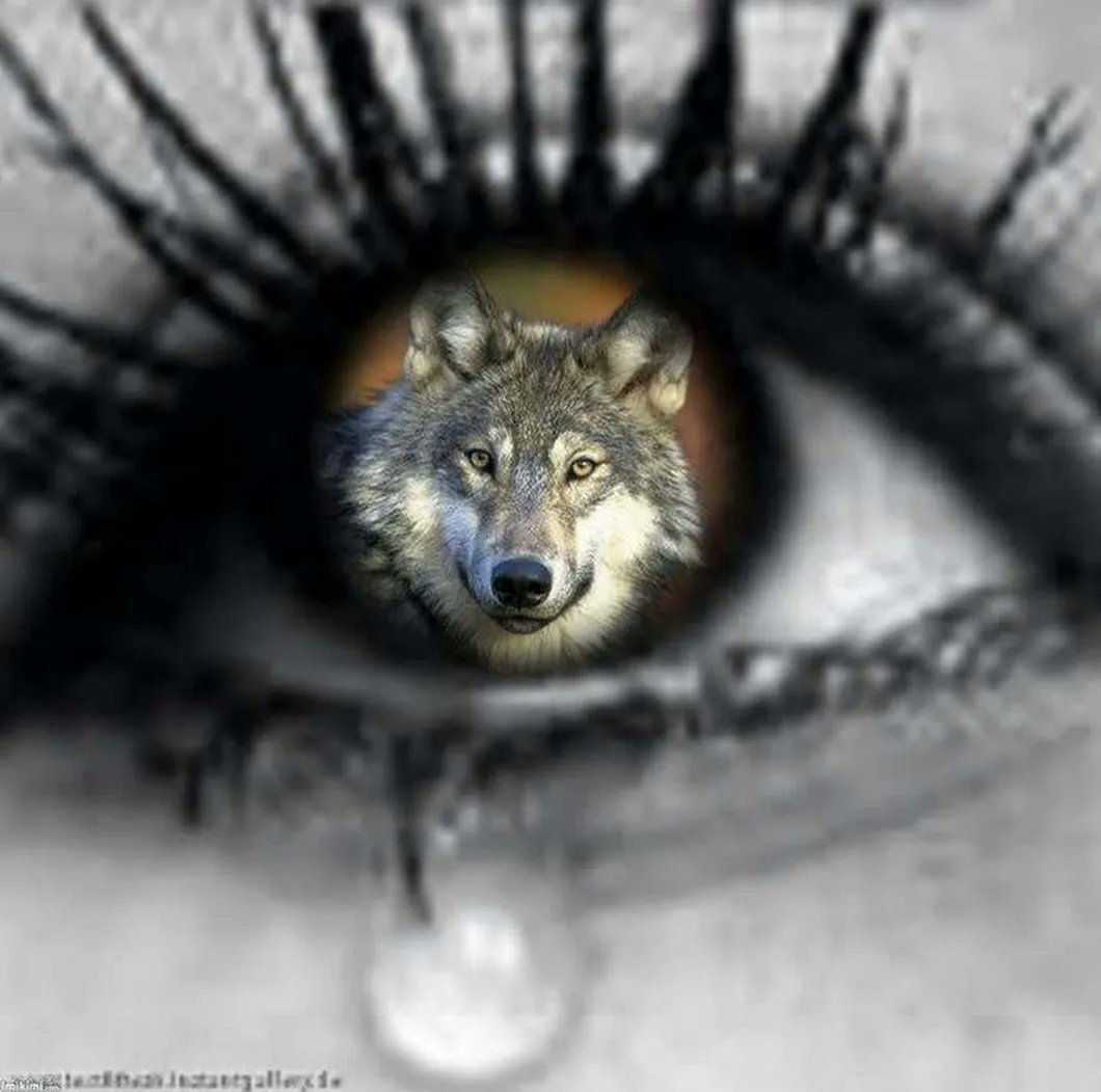 Волчица в слезах