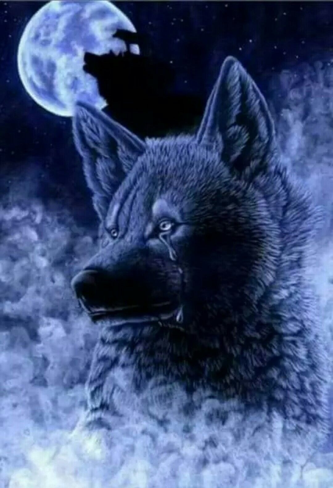 Волк одиночка