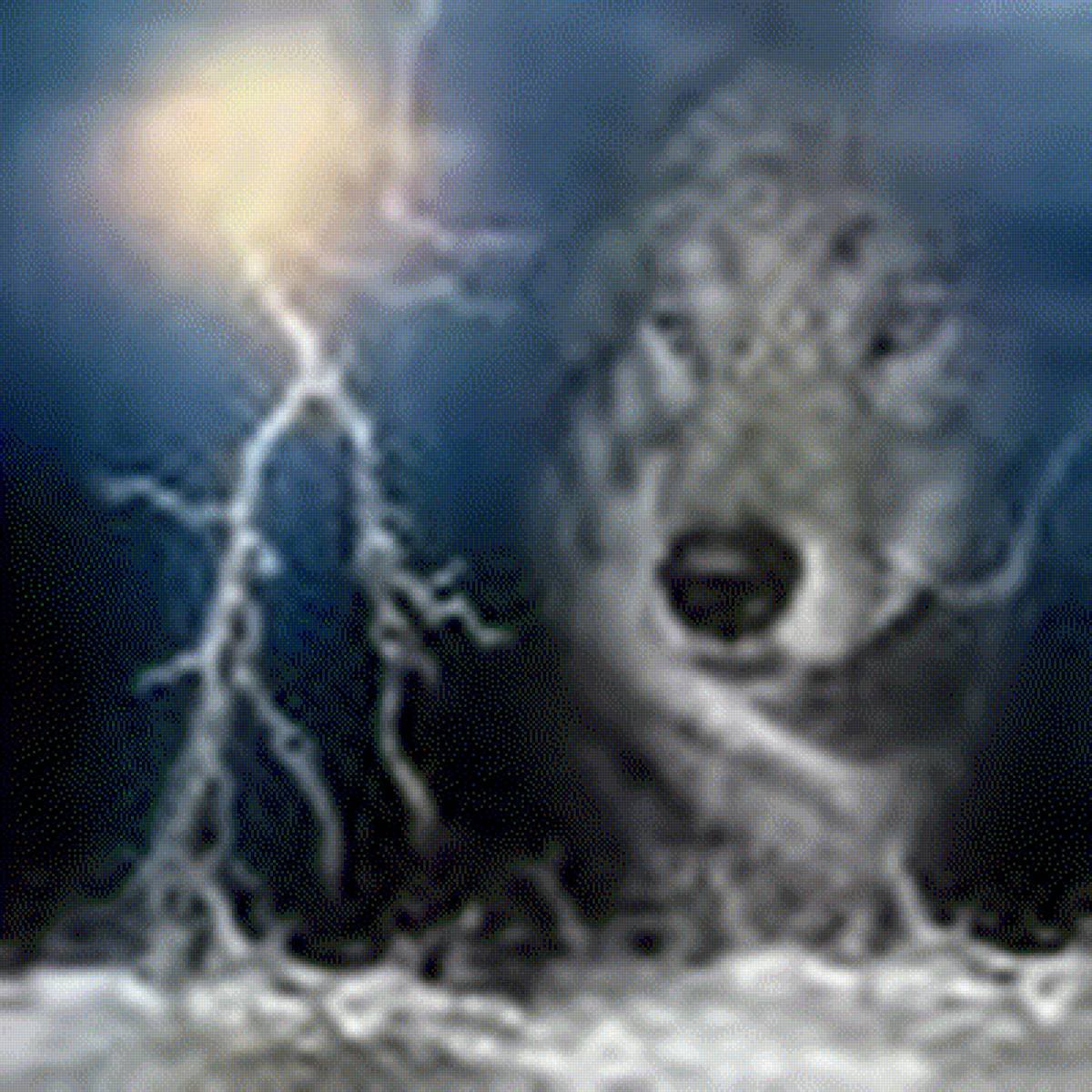 Волк одиночка по жизни