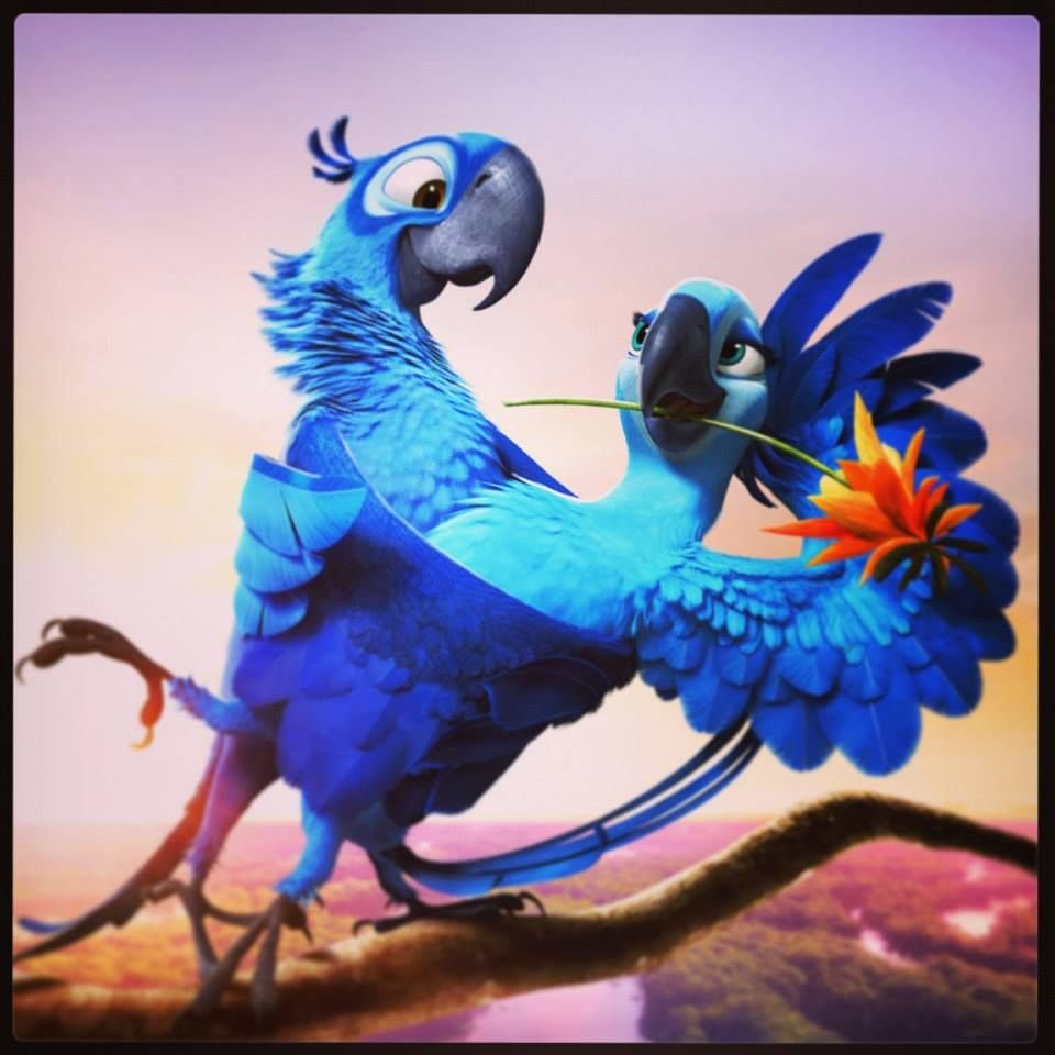 Рио 1 Голубчик и Жемчужинка