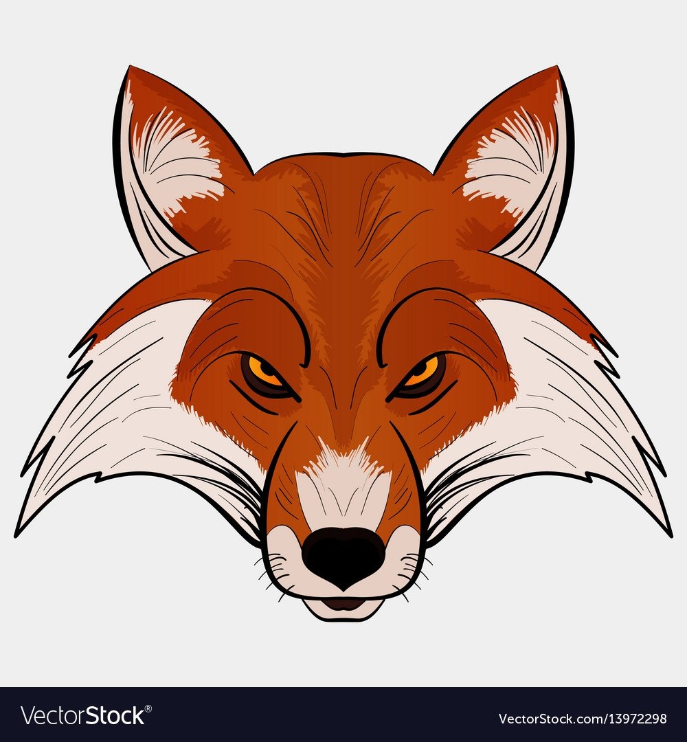 Морда лисы картинка