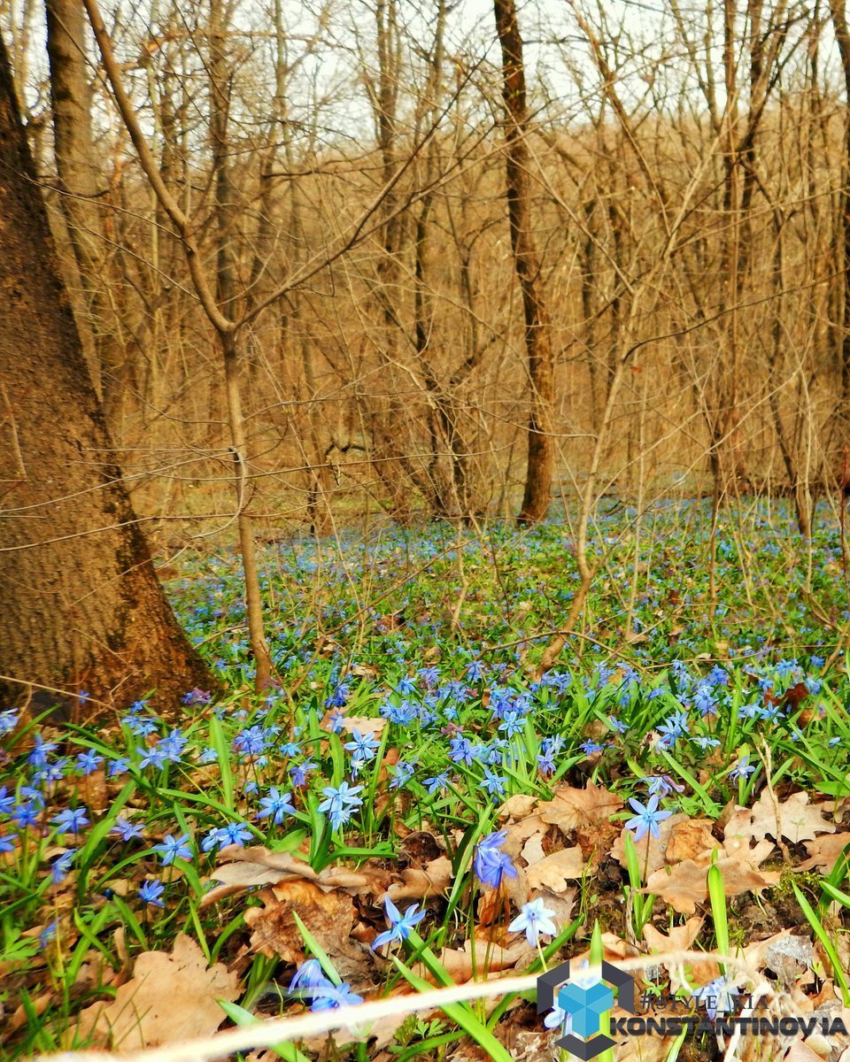 Привет апрель