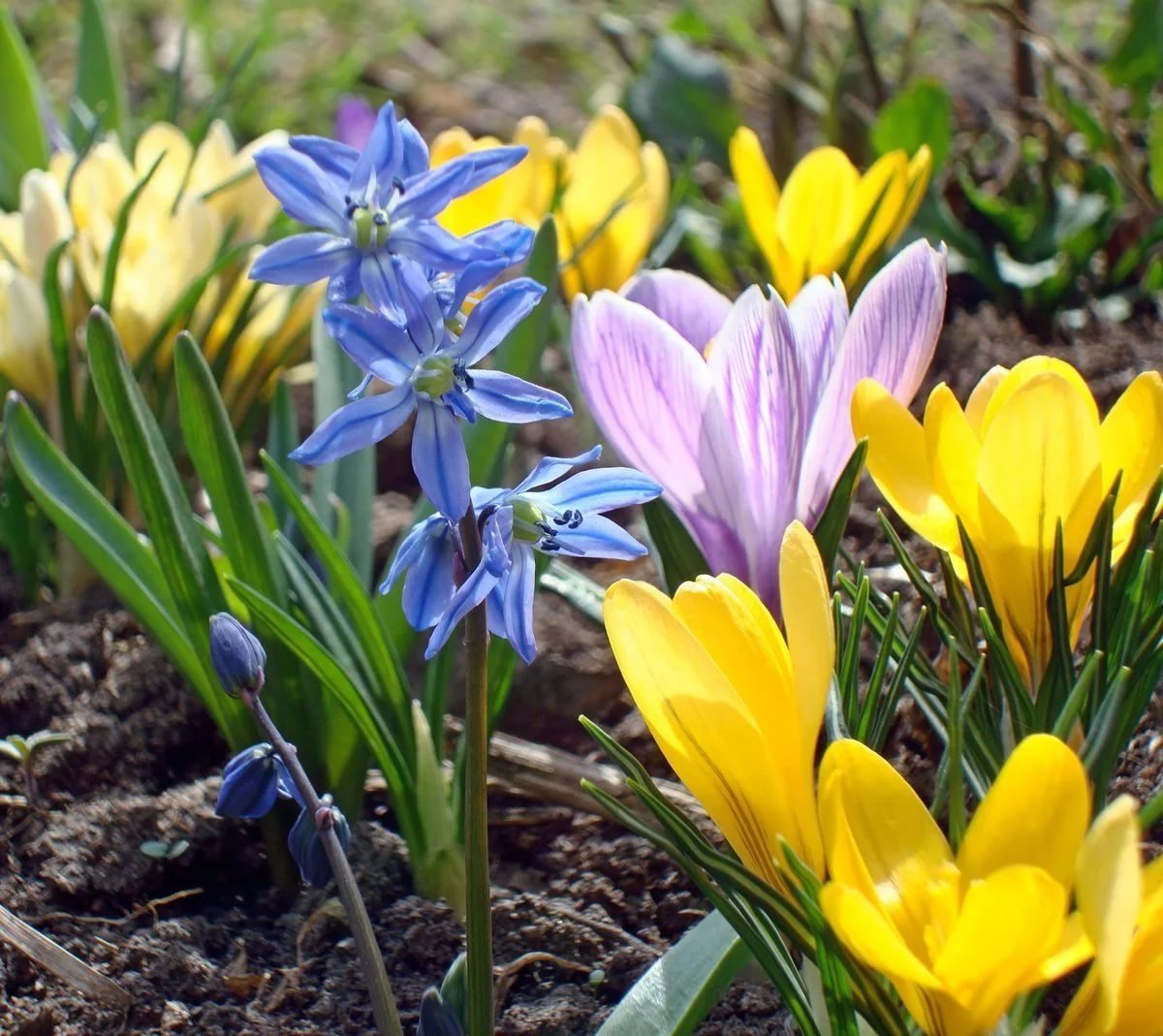 Весна апрель