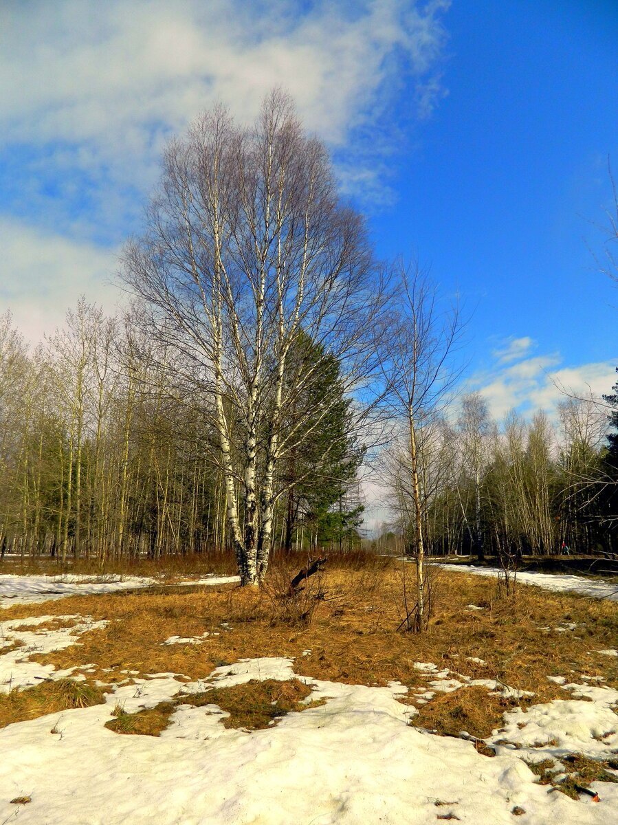 Привет апрель