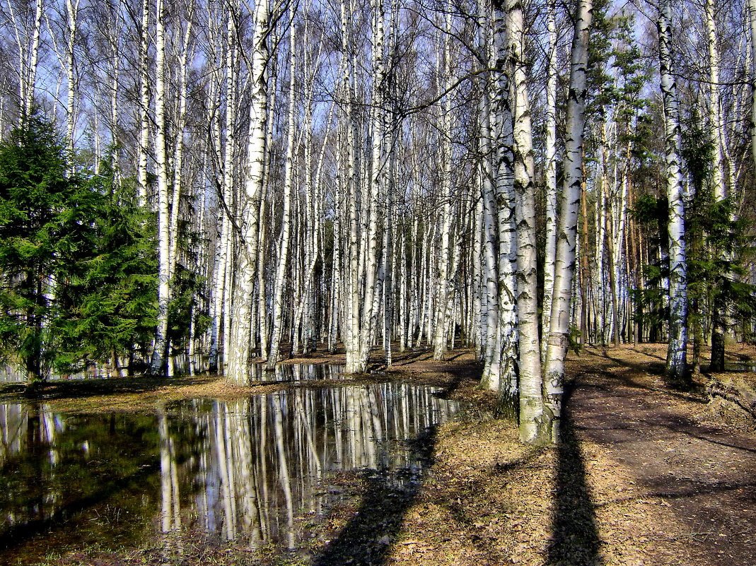 Анимированные пейзажи Весна